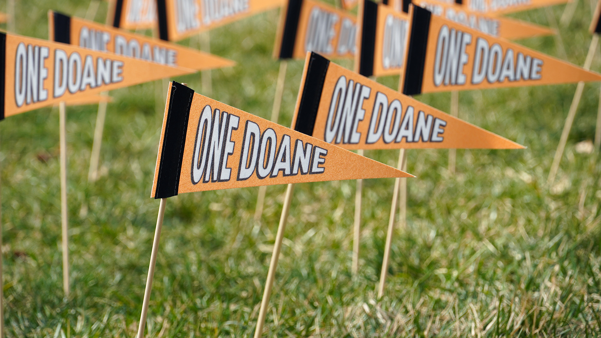 Several orange pennants are shown up close. The pennants are orange with white O-N-E D-O-A-N-E lettering that represents the One Day. One Doane. Campaign. The pennants are on sticks placed inside the green grass of Cassel Outdoor Theatre on Doane’s campus.