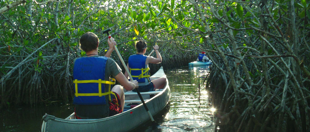 Students paddling in a boat