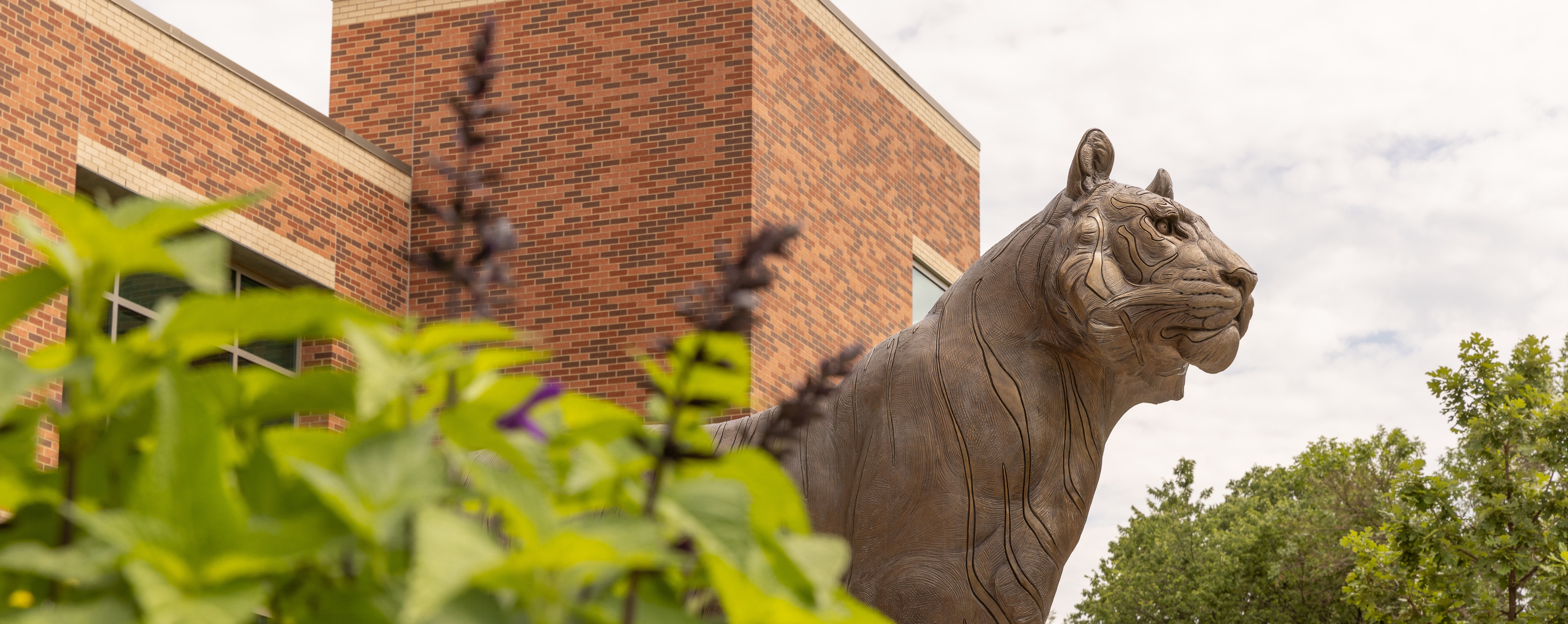 Thomas the Tiger Statue