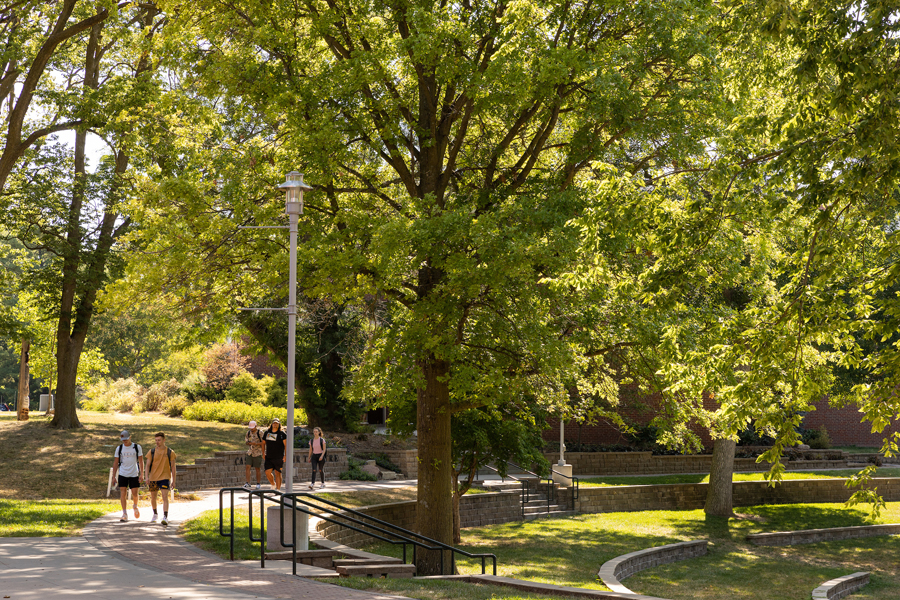 A wooded area on Doane's campus.