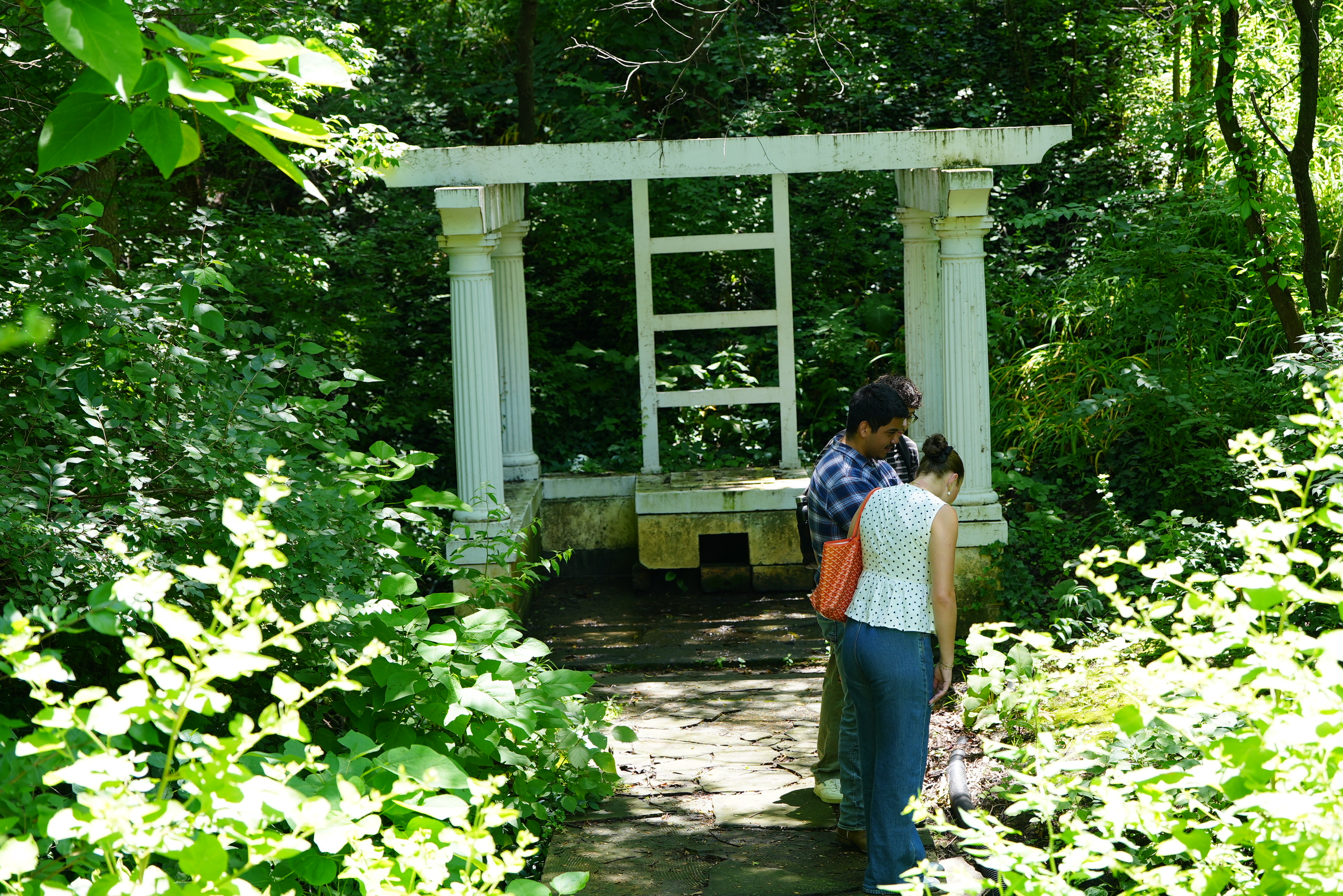 Pergola north of Frees Hall, donated by Carrie  Dean ’80 in honor of her parents