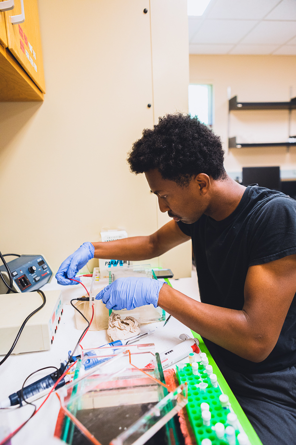 JaDae Moore ’25 sets up gel electrophoresis, a method used in molecular biology to gain information about DNA samples.