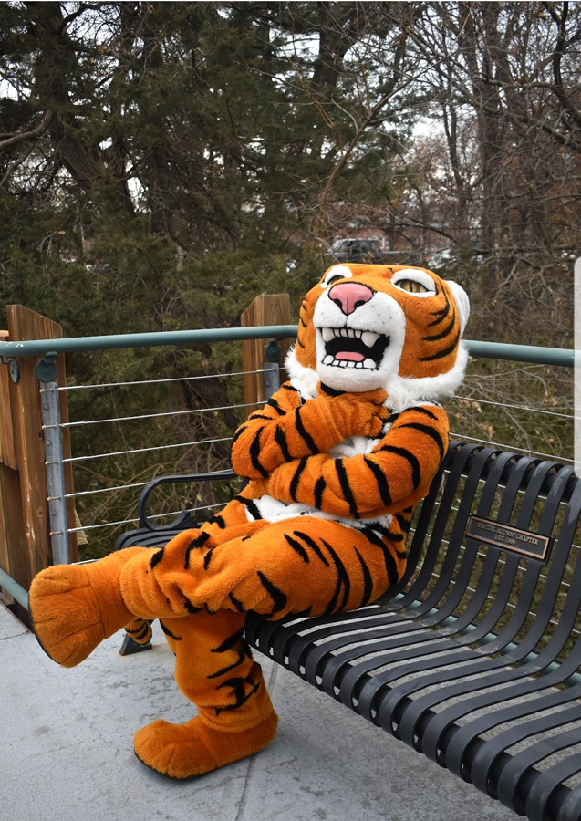 Trey Porter holds a thinking pose — with his right hand on his chin and his elbow in his left hand — while wearing the Thomas the Tiger mascot costume.