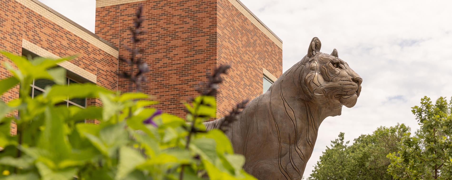 Doane Tiger