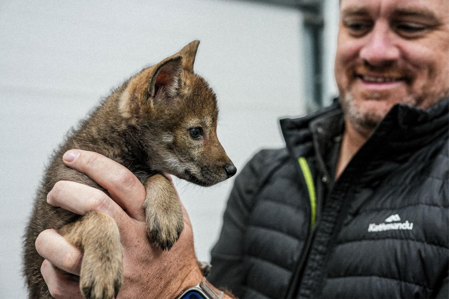 Matt James with Direwolf pup